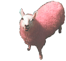 baaaaa